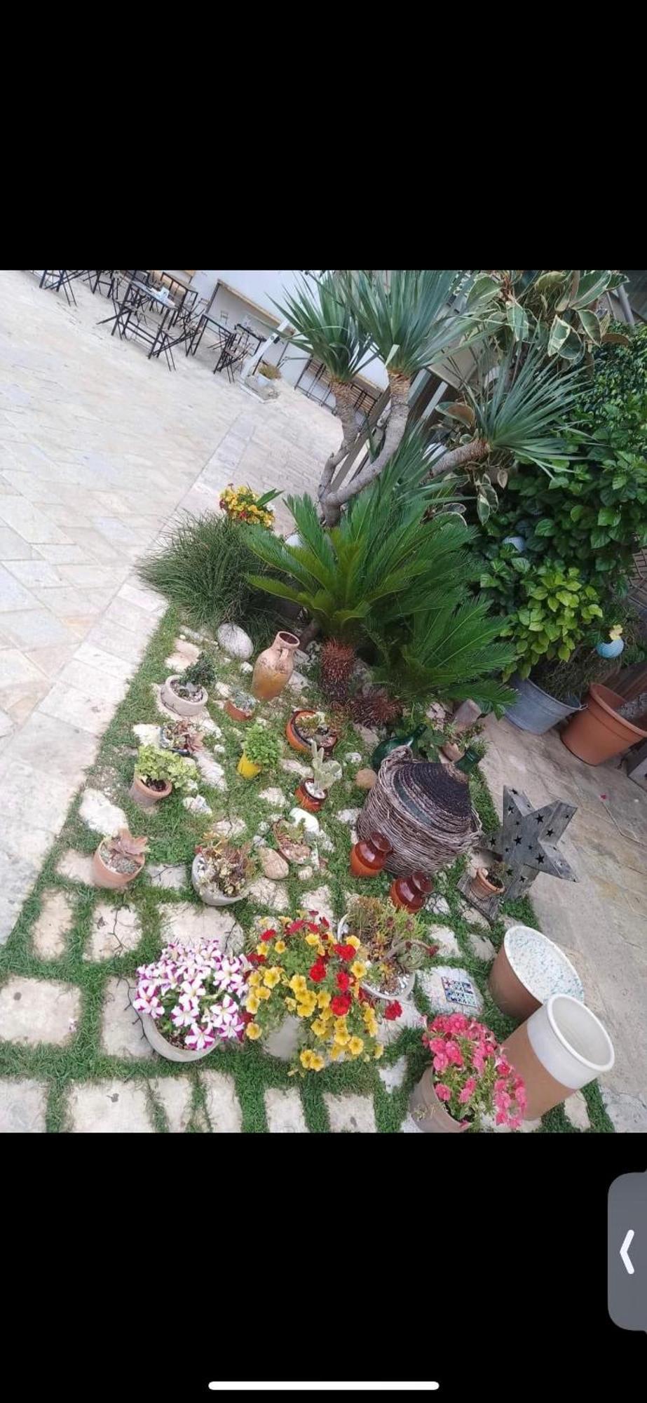 Vico Luxury Room Mesagne Exterior photo